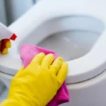 Come igienizzare il wc in modo naturale