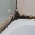 Attenzione alle fughe nere del bagno: ecco il rischio per la salute