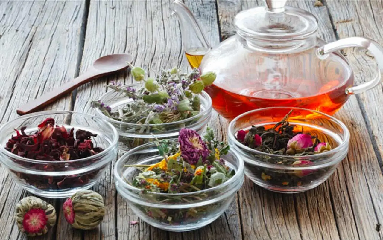 Bere una tisana ogni sera fa bene? Ecco cosa dice l’esperto