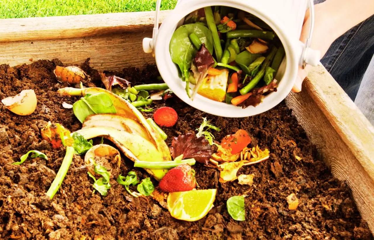 Mettile in terra invece di buttarle via: ecco cosa succede dopo pochi giorni