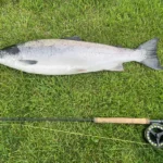 Hai rotto la canna da pesca? Ecco il trucco rapido per ripararla senza comprarne una nuova