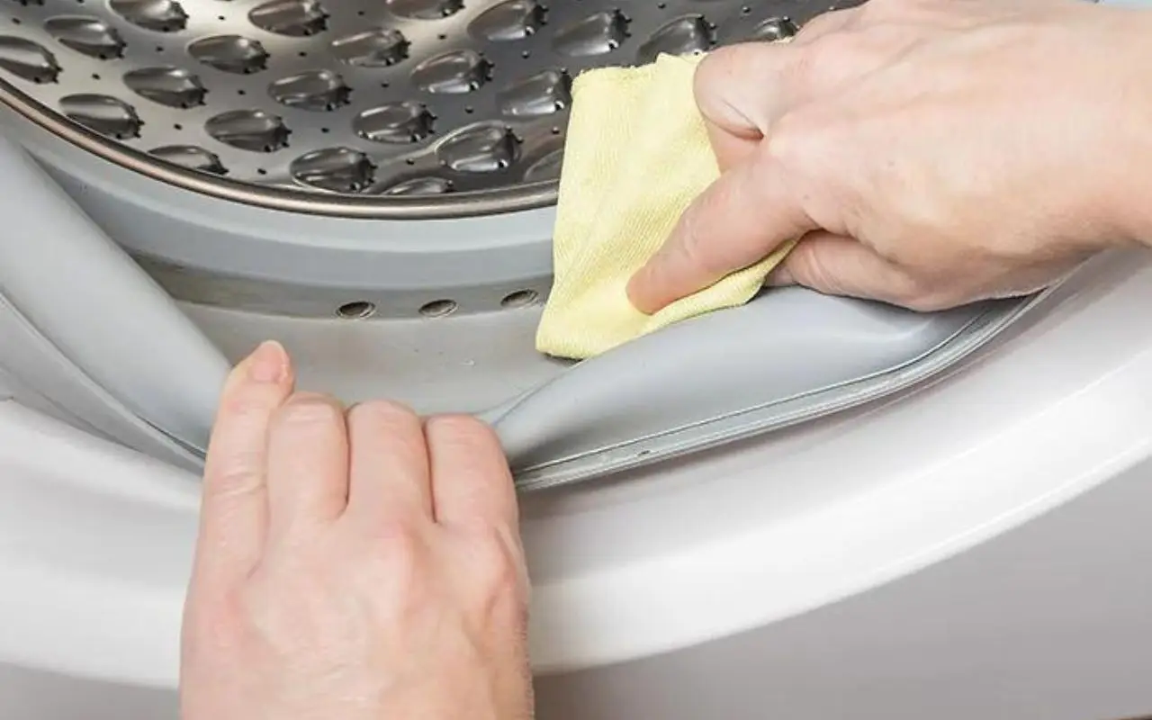 Il trucco per evitare la muffa in lavatrice e risparmiare tempo sul bucato