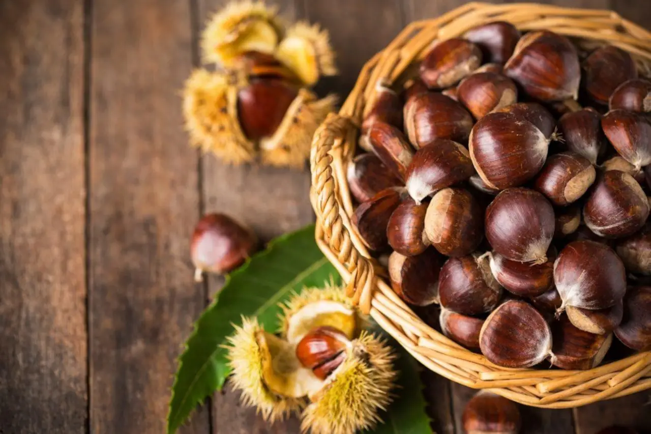 Mangiare castagne ogni giorno: ecco cosa succede davvero a colesterolo e glicemia
