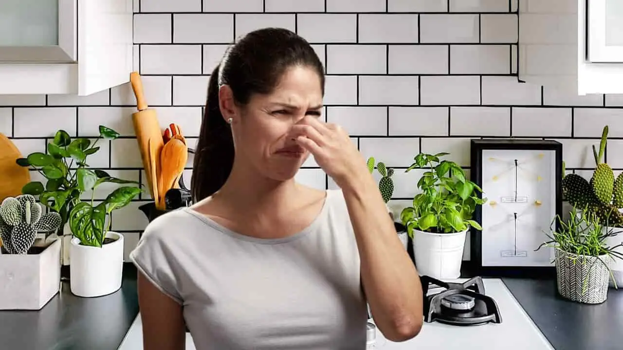 Odore di chiuso in casa? Ecco come eliminarlo definitivamente con un solo ingrediente