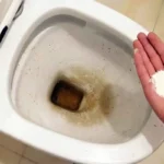 Come eliminare la puzza di fogna dal bagno