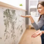 Perché si forma muffa dietro l’armadio? Ecco come prevenirla