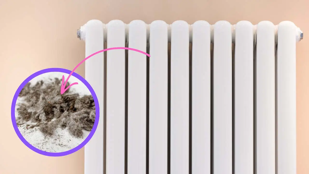 Come pulire velocemente i termosifoni: ecco il metodo definitivo