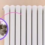 Come pulire i caloriferi dentro e fuori? I punti che tutti dimenticano