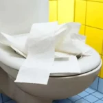 Non mettere troppa carta nel wc