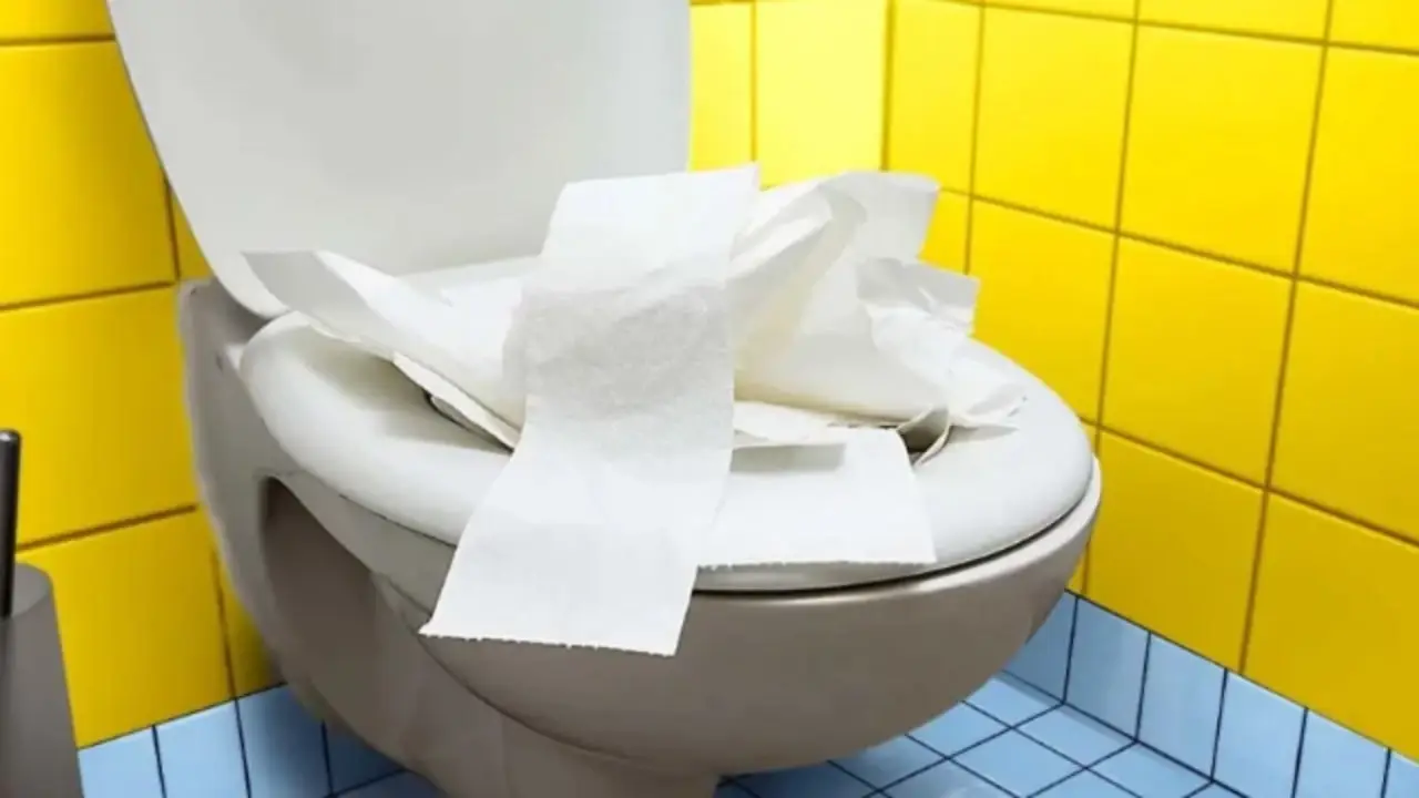 Non mettere troppa carta nel wc