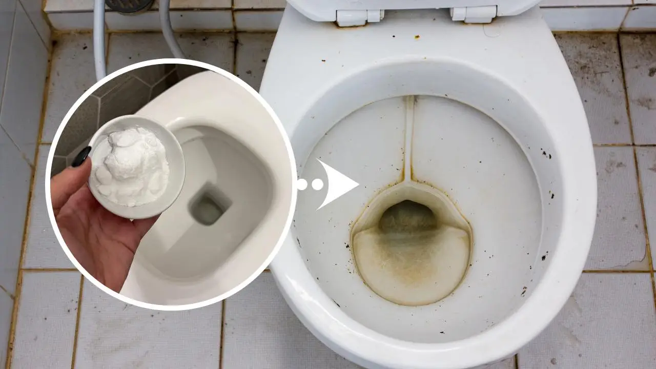 Perché tutti stanno usando questo rimedio naturale per pulire il bagno