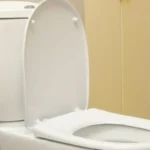 Non tirare l’acqua del wc con il coperchio aperto