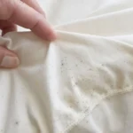 Come eliminare la polvere dai tessuti senza lavarli