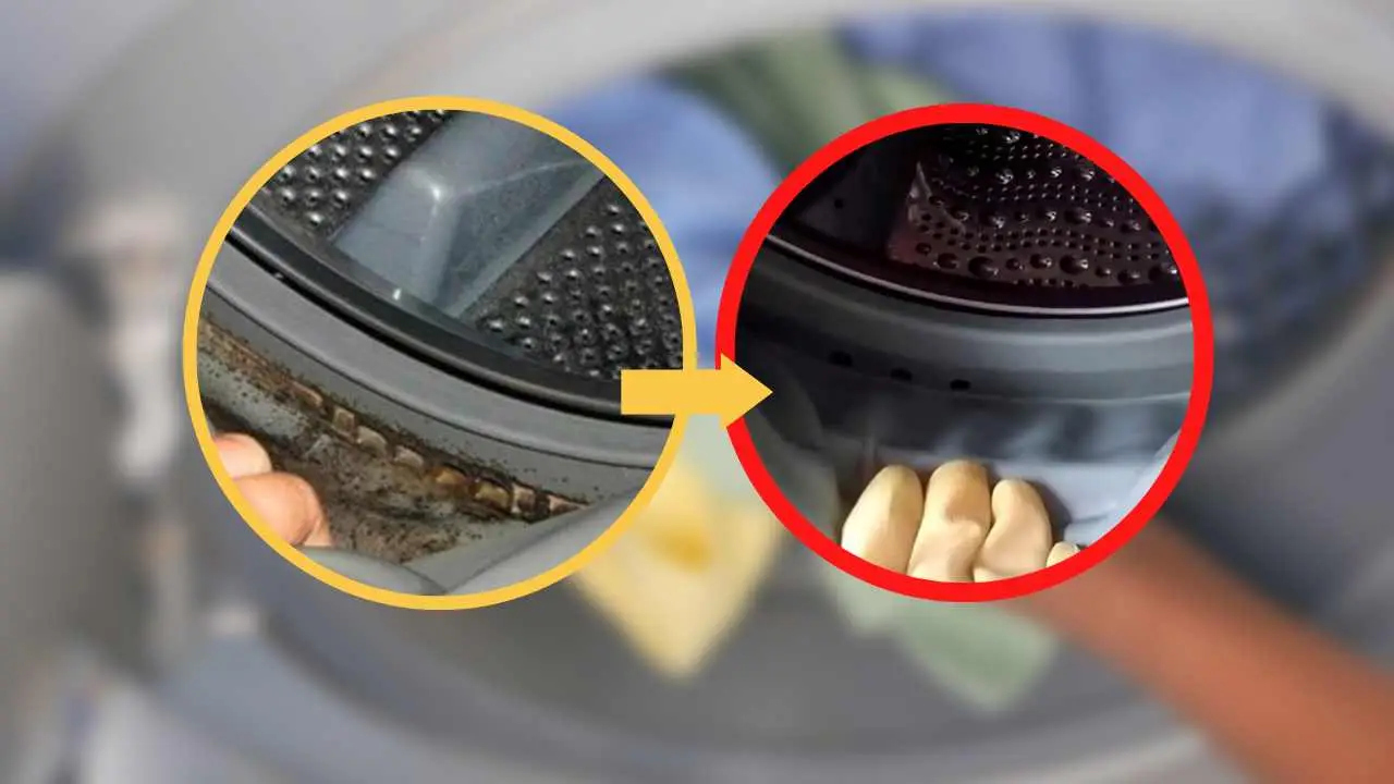 Come pulire la lavatrice senza smontarla