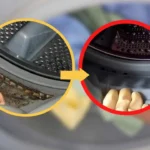 Come pulire la guarnizione della lavatrice: ecco il rimedio che nessuno conosceva