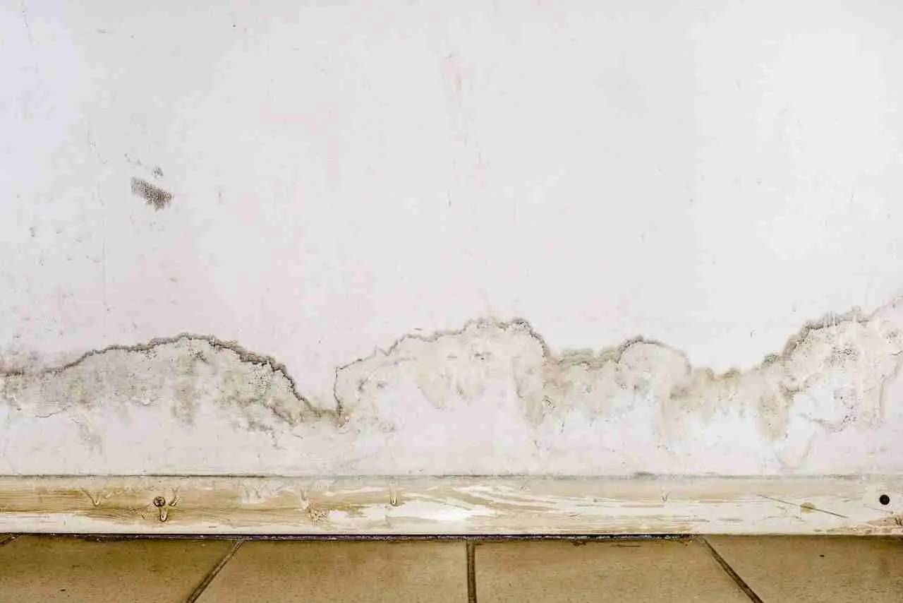Perché il muro si macchia in basso? Il segno dell’umidità nascosta