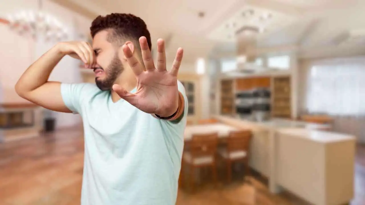 Non usare deodoranti per ambienti in questo modo: rischi di respirare sostanze irritanti