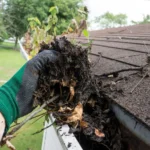 Quando va pulita la grondaia? Il mese giusto per evitare danni costosi