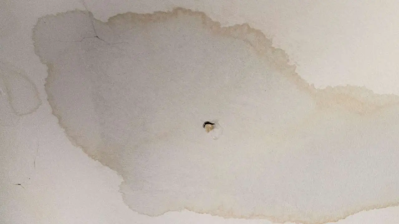Perché si formano gocce sul soffitto? Ecco il pericolo dell’umidità nascosta