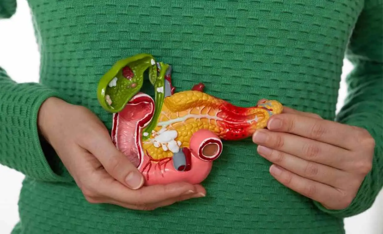 Allerta pancreas: i cibi che lo mettono a rischio