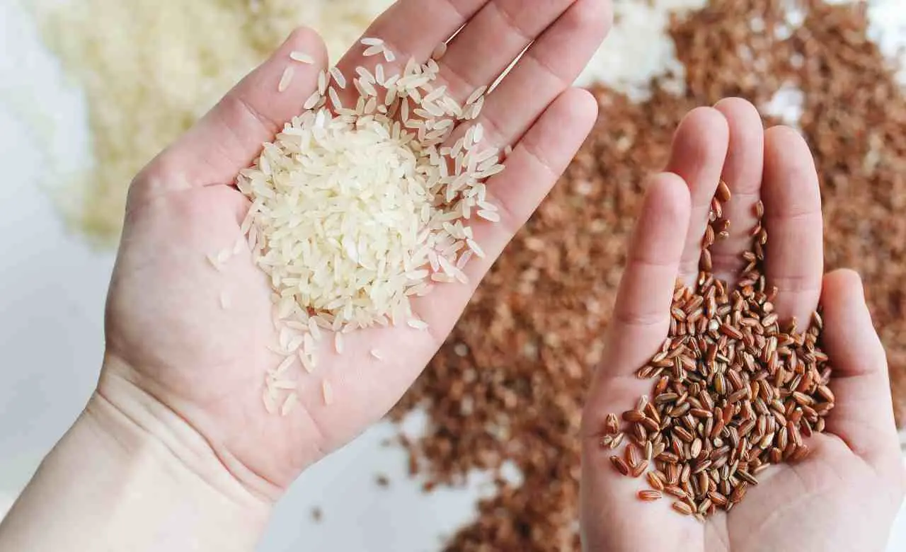 Mangiare riso bianco o integrale? Ecco la scelta migliore